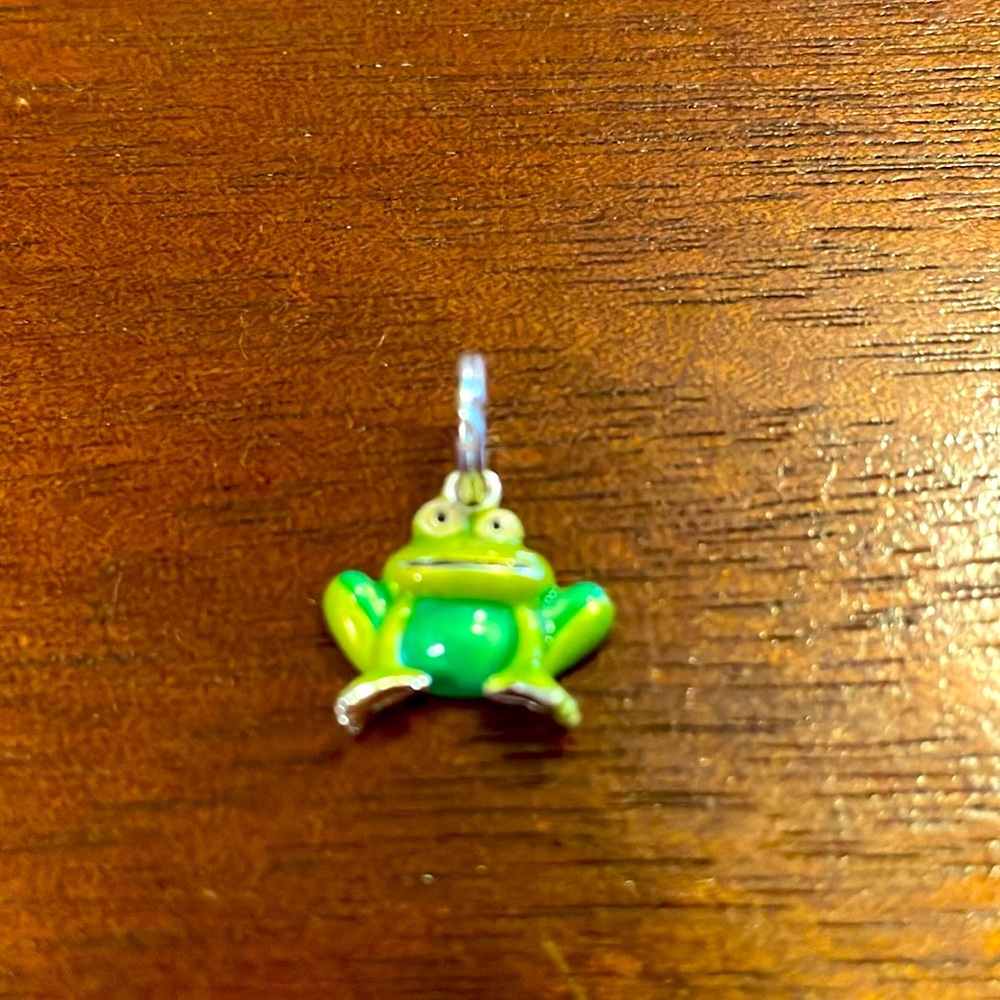 Little bitty frog charm for necklace or charm bracket. Sterling silver